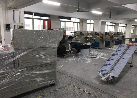 Οριζόντια μηχανή συσκευασίας παγωμένων τροφίμων ανοξείδωτου