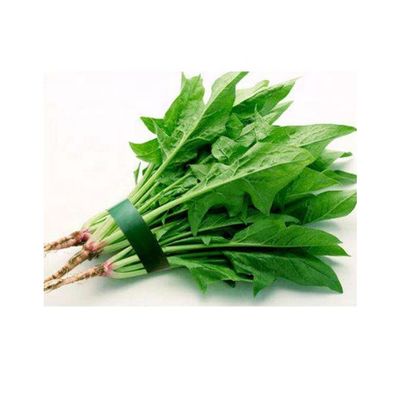 Οριζόντια πλαστικών ταινιών μηχανή συσκευασίας νωπών καρπών φυτική